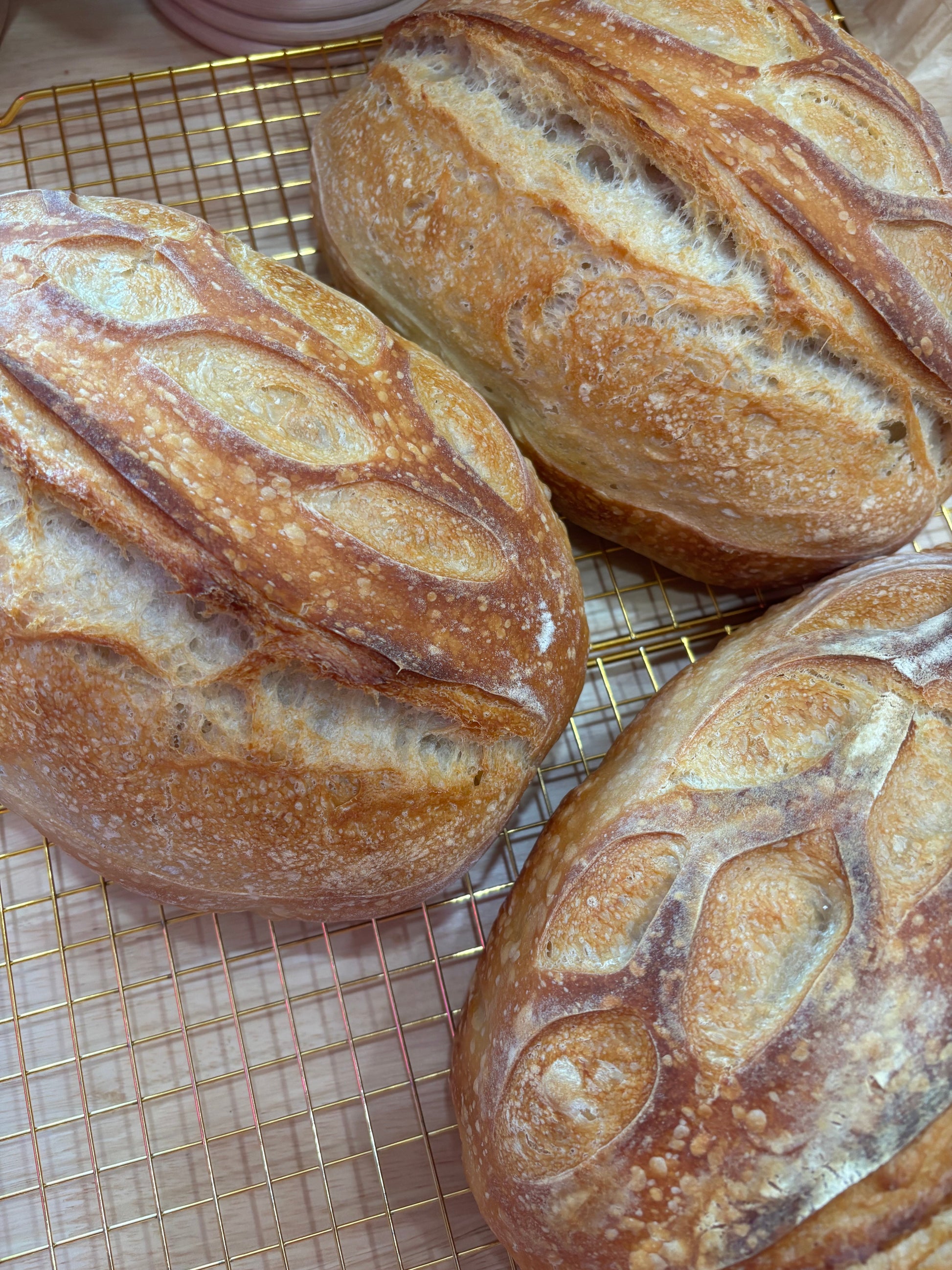 Classic Sourdough Loaf Think Cute Boutique